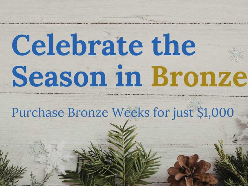 Celebrate the Season in Bronze — Just $1,000