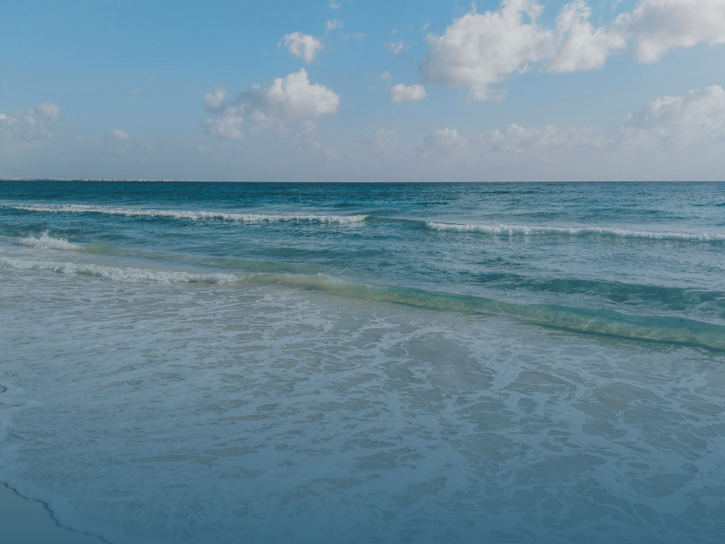 Spring on Hilton Head Island