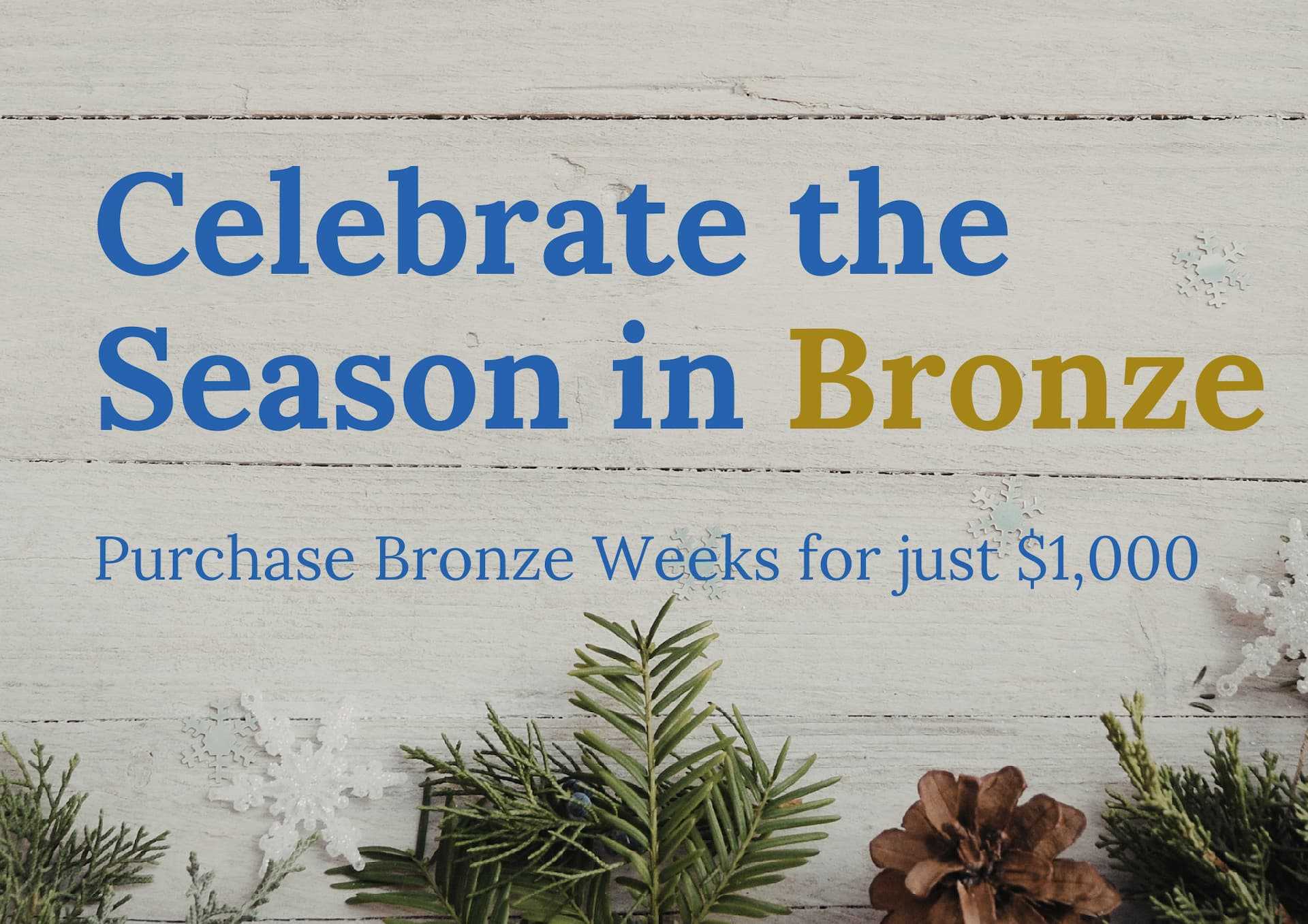 Celebrate the Season in Bronze — Just $1,000
